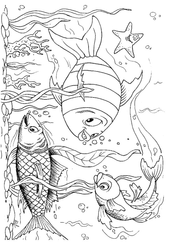 la state freshwater fish coloring pages - photo #15